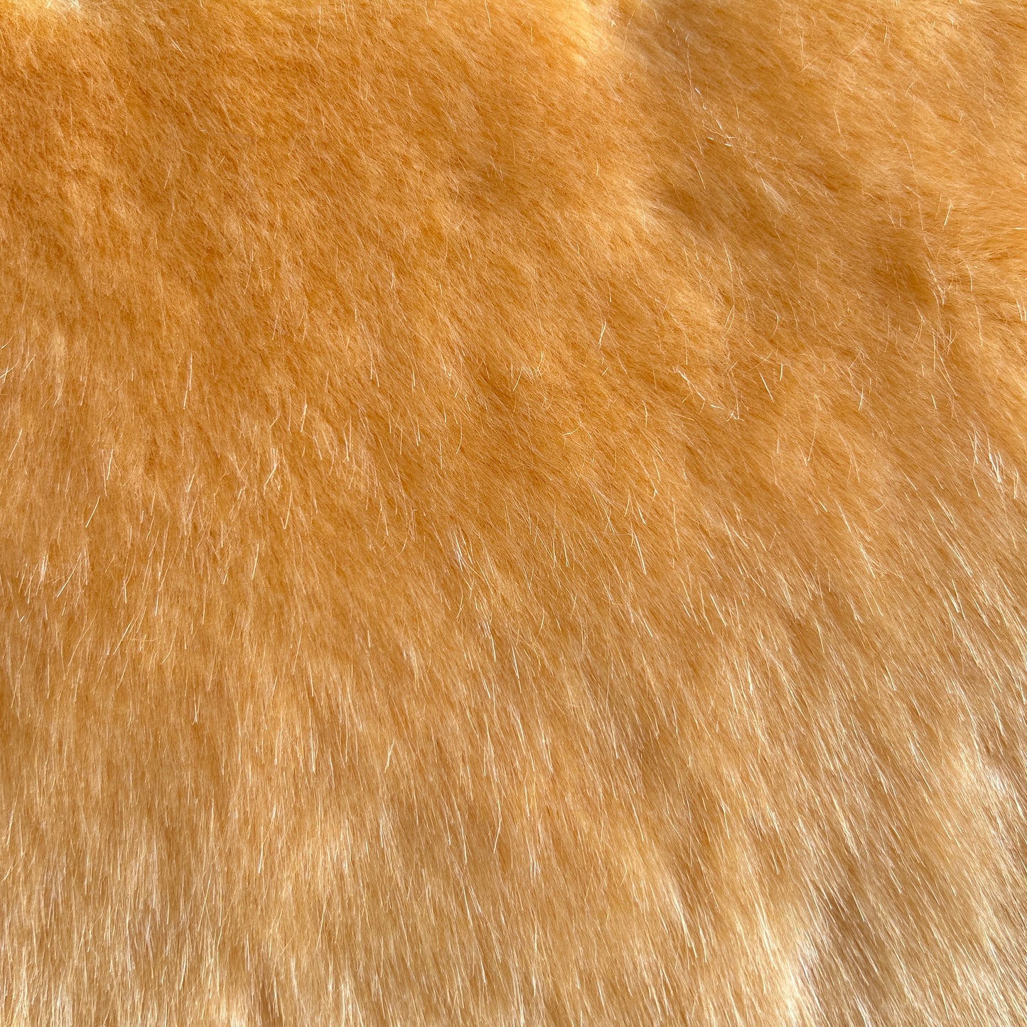 BEBE