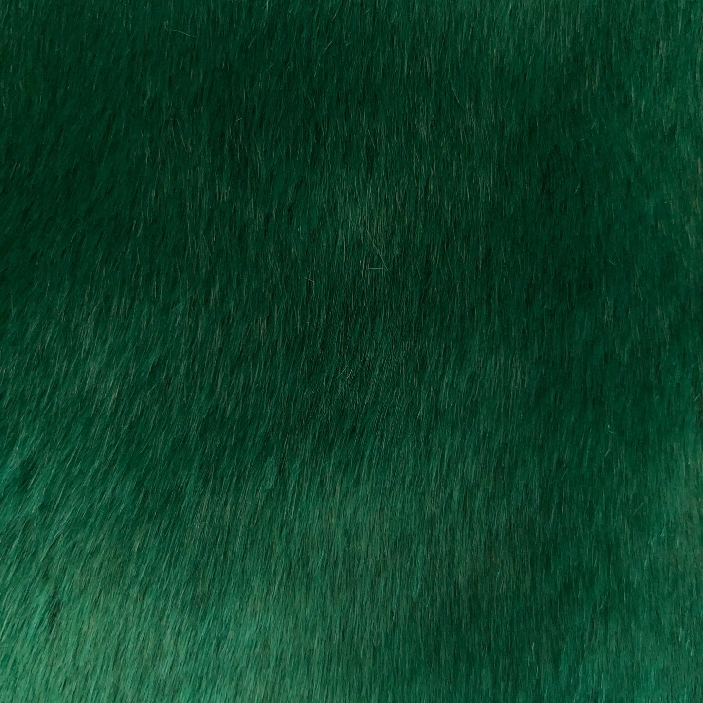 TAC