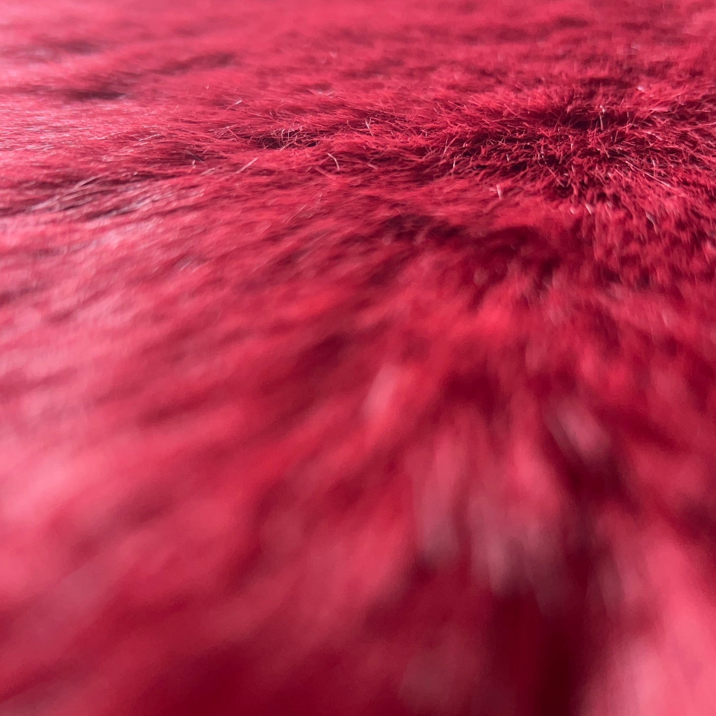 BLEED