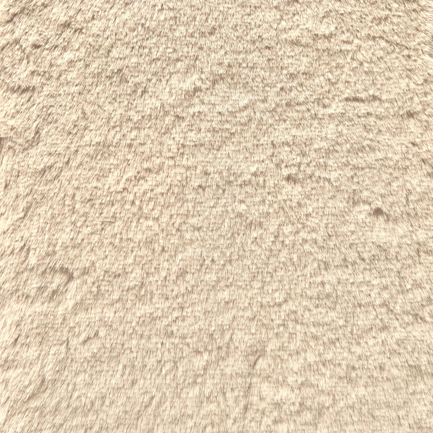 NEVADA