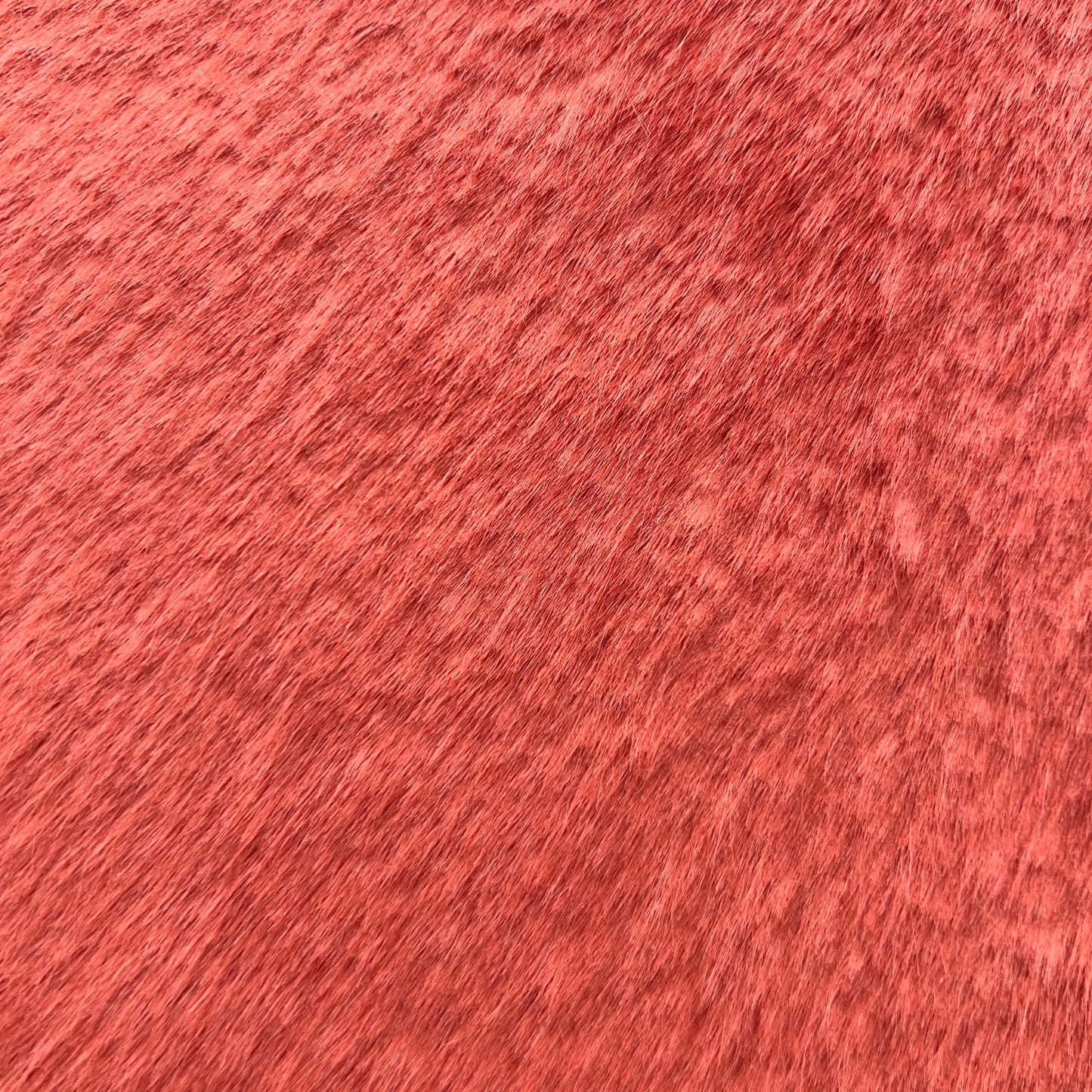CORONA