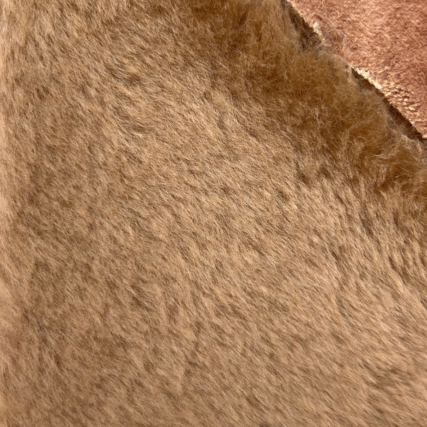 LAURO