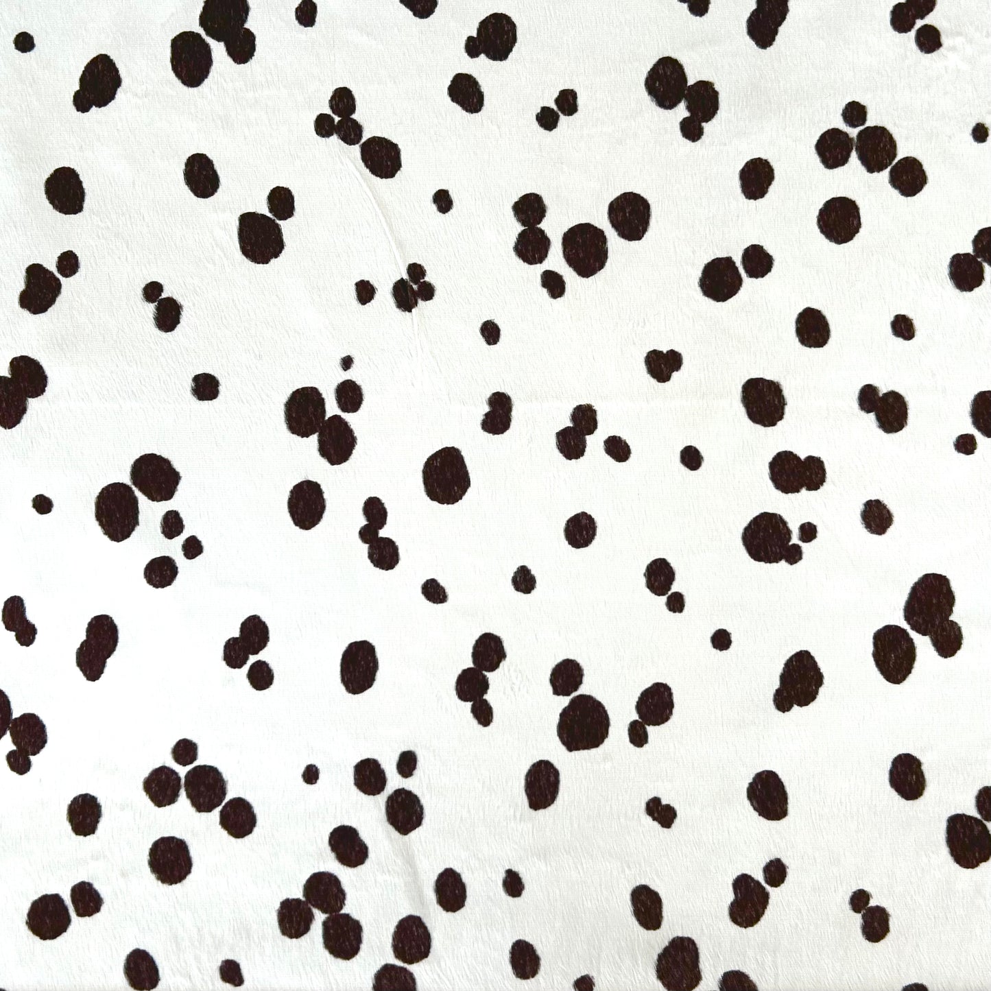 PONGO