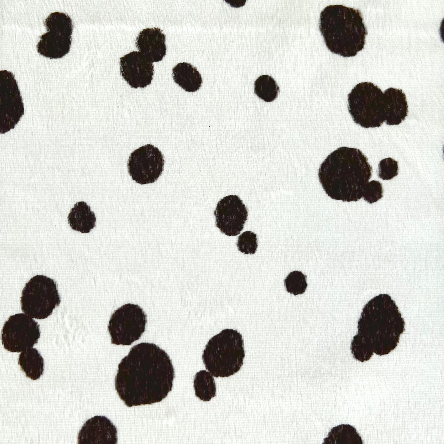 PONGO