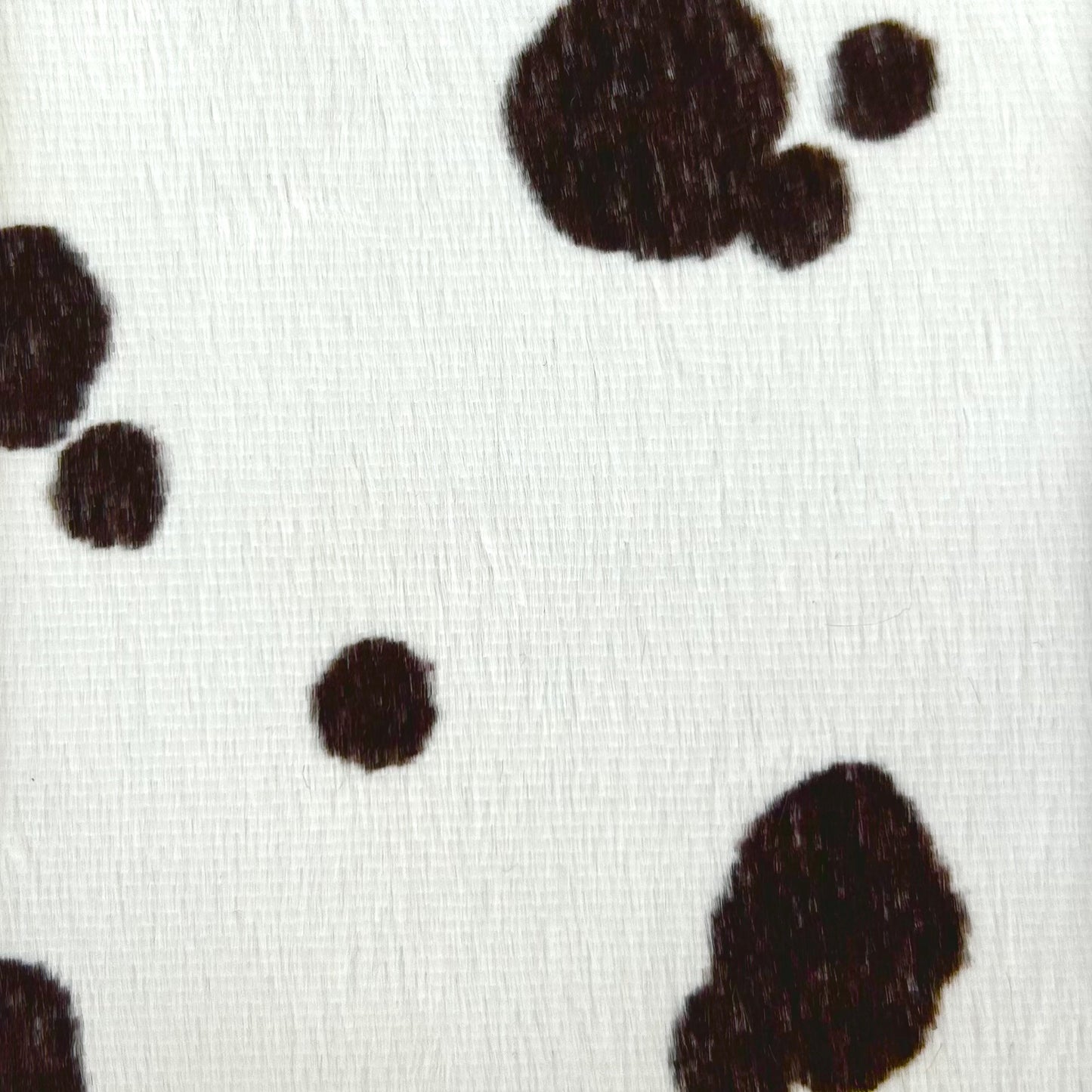 PONGO