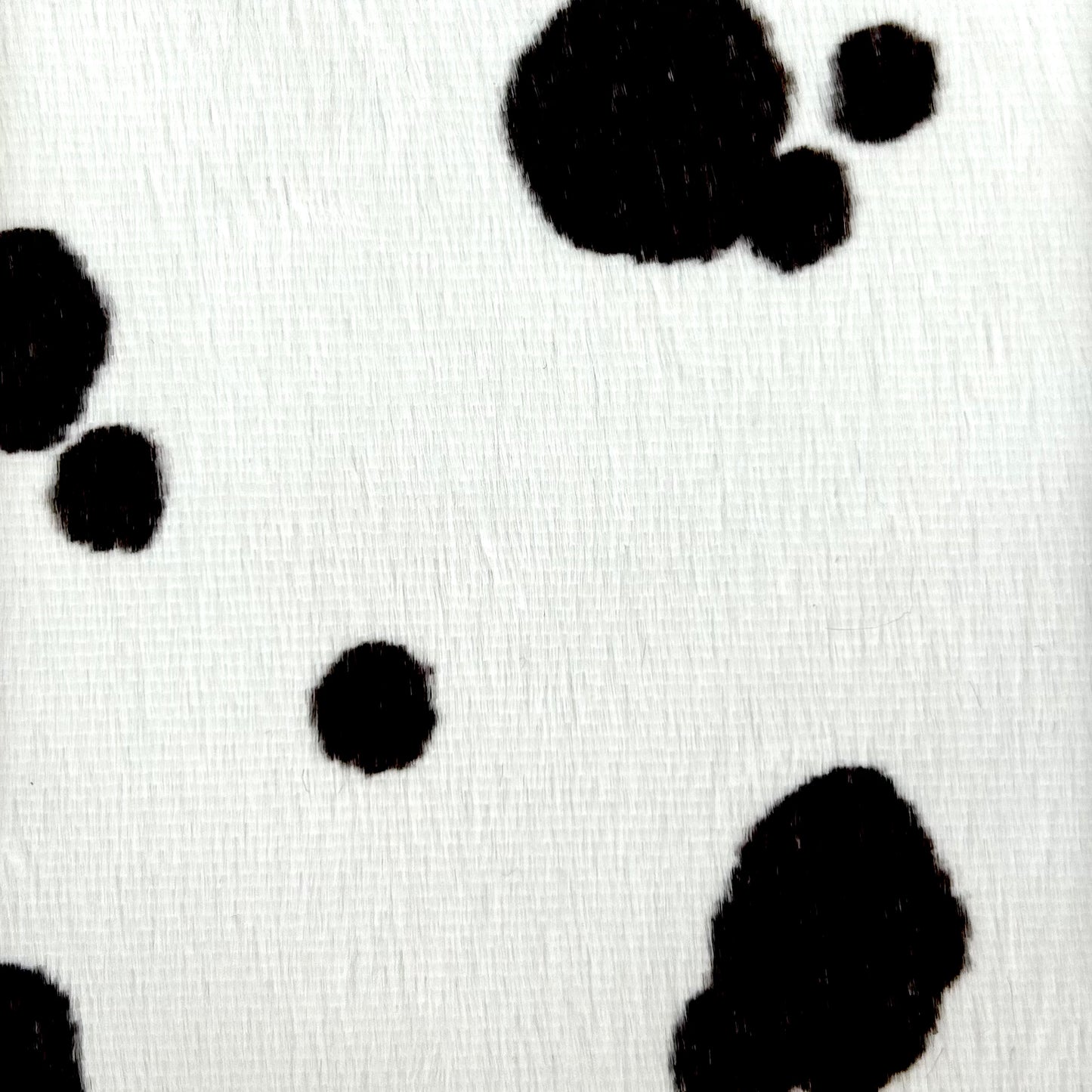 PONGO