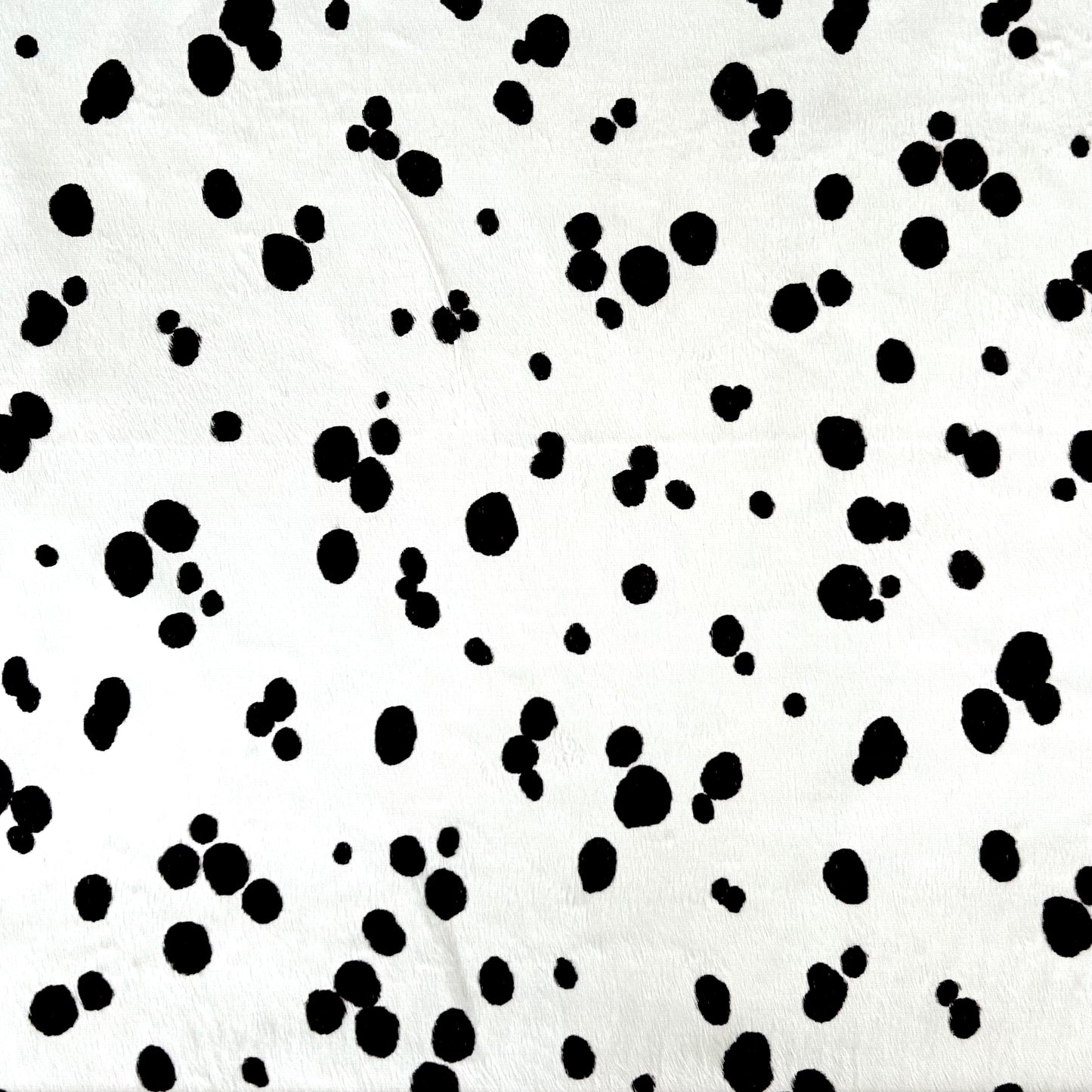 PONGO