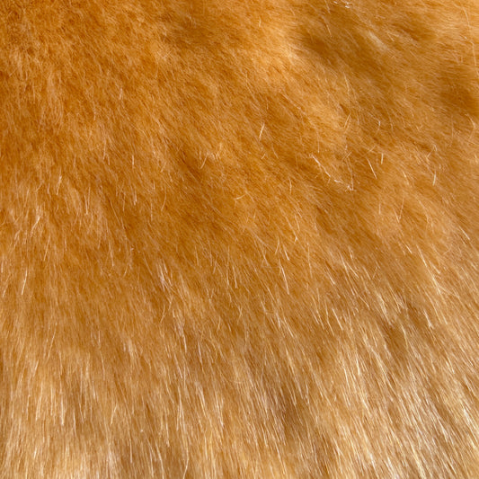 BEBE