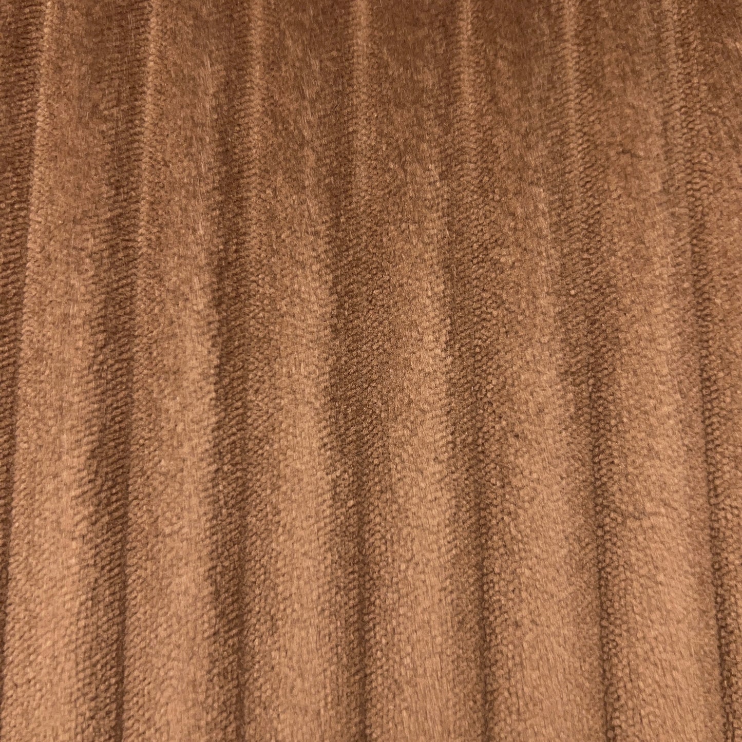 MOLO