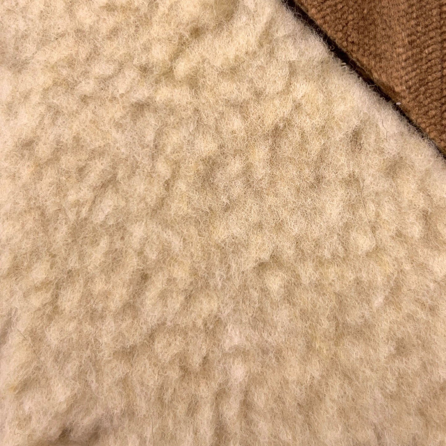 MOLO