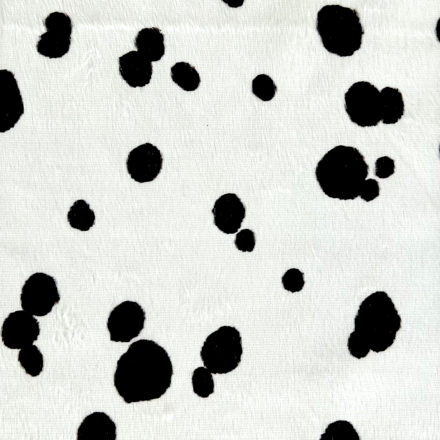 PONGO